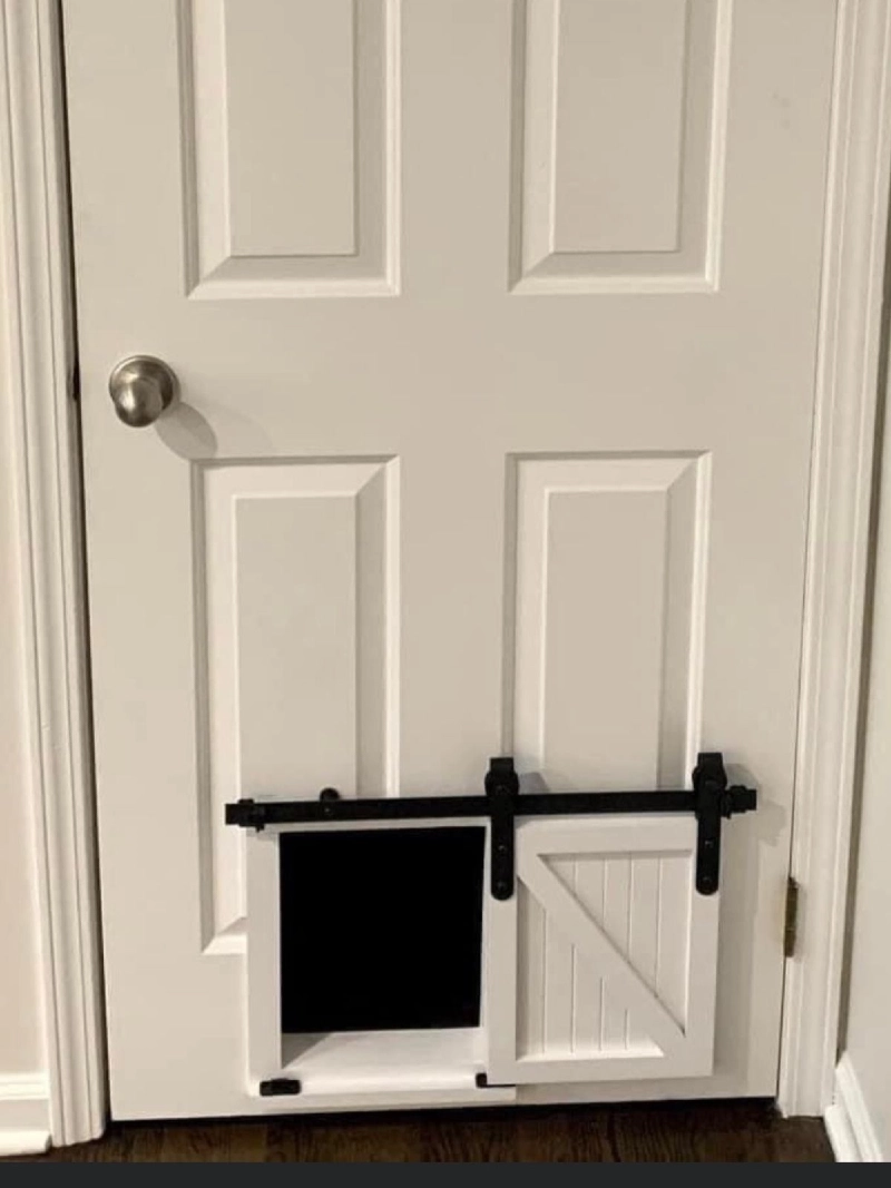 Miniature White Sliding Barn Door on Matte Black Track Set in Six-Panel Entry Door