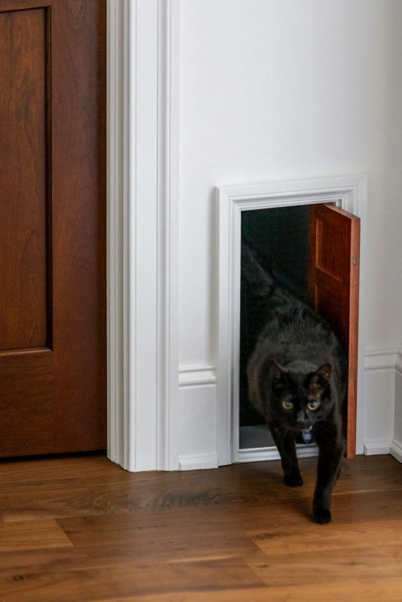 Miniature Wood Panel Door with White Trim Set in Hallway Drywall