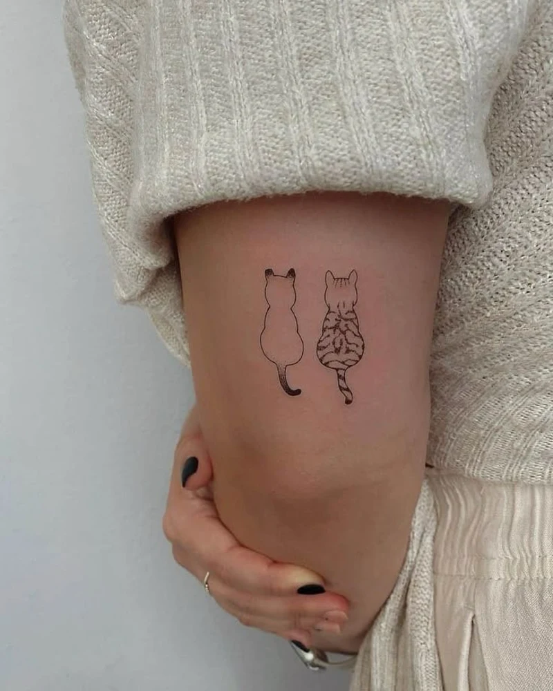 Minimalist Twin Cat Outlines Tattoo from Behind on the Upper Arm