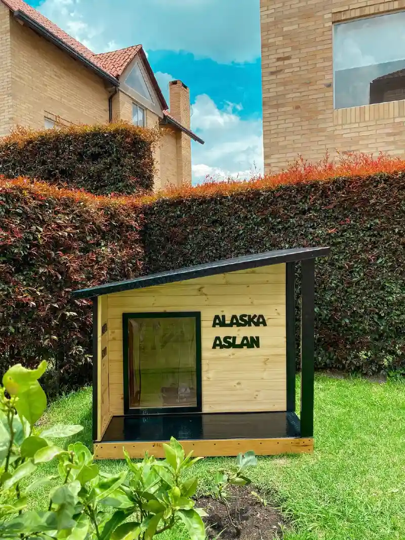 Modern Lean-To Shelter with Black Accents and Integrated Entry Porch