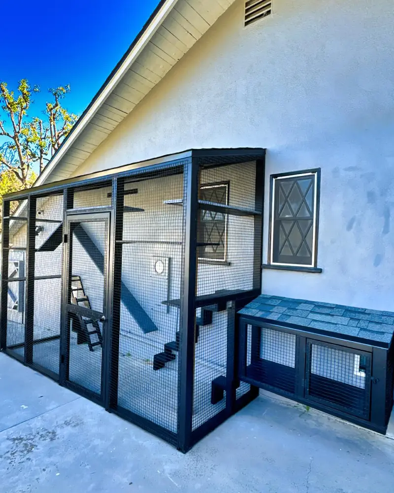Modern Matte Black Lean-To Catio with Side Hutch Extension