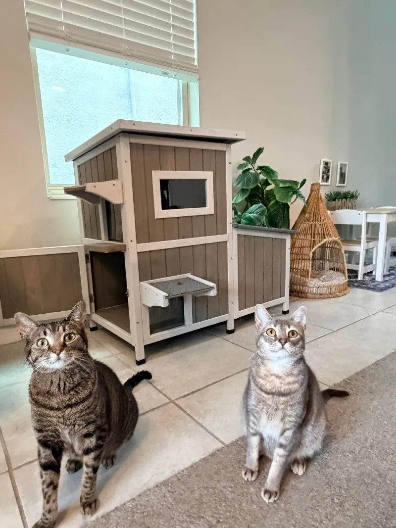 Multi-Level Gray Wooden Cat Lodge with White Trim and Integrated Planter Box