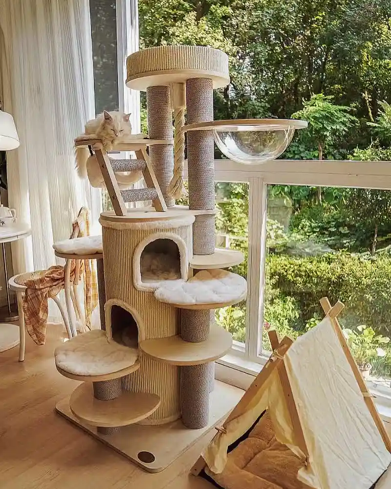 Multi-Tiered Corrugated Cat Tower with Acrylic Lounge Bowl and Canvas A-Frame Teepee
