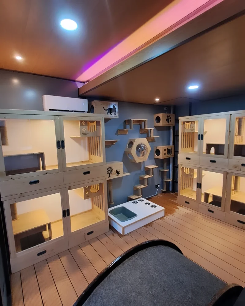 Multi-Unit Modular Wooden Cat Hotel with Wall-Mounted Hexagon Pods and Linear Feeding Station