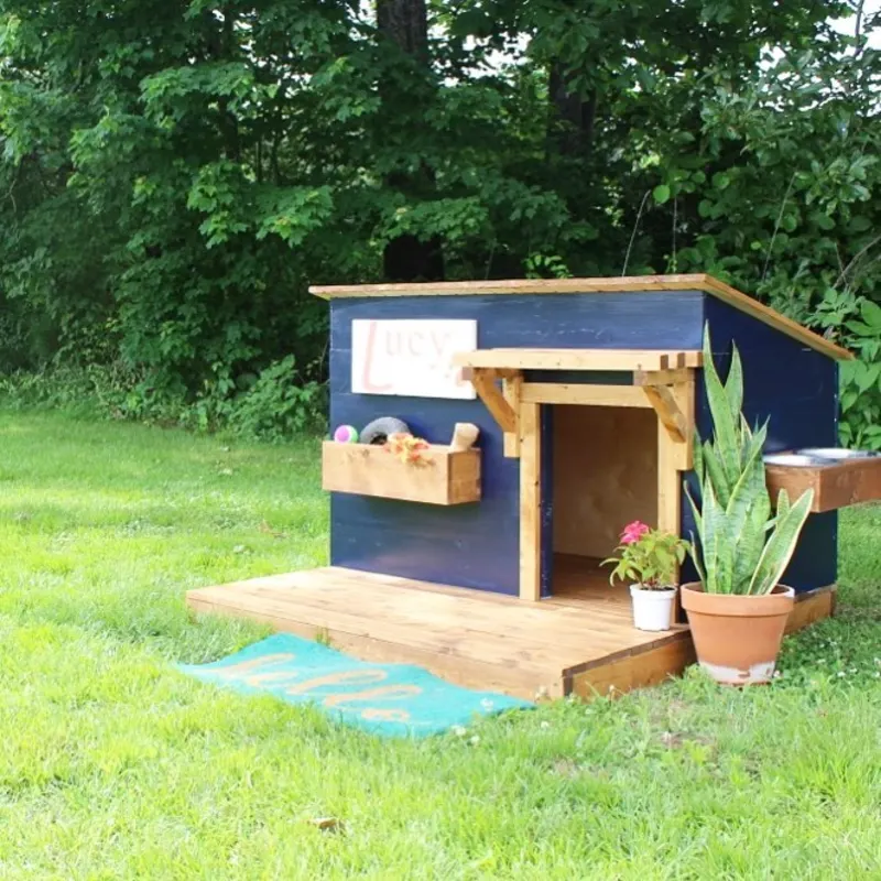 Navy Blue Lean-To Kennel with Natural Cedar Trim, Toy Box, and Integrated Feeding Station