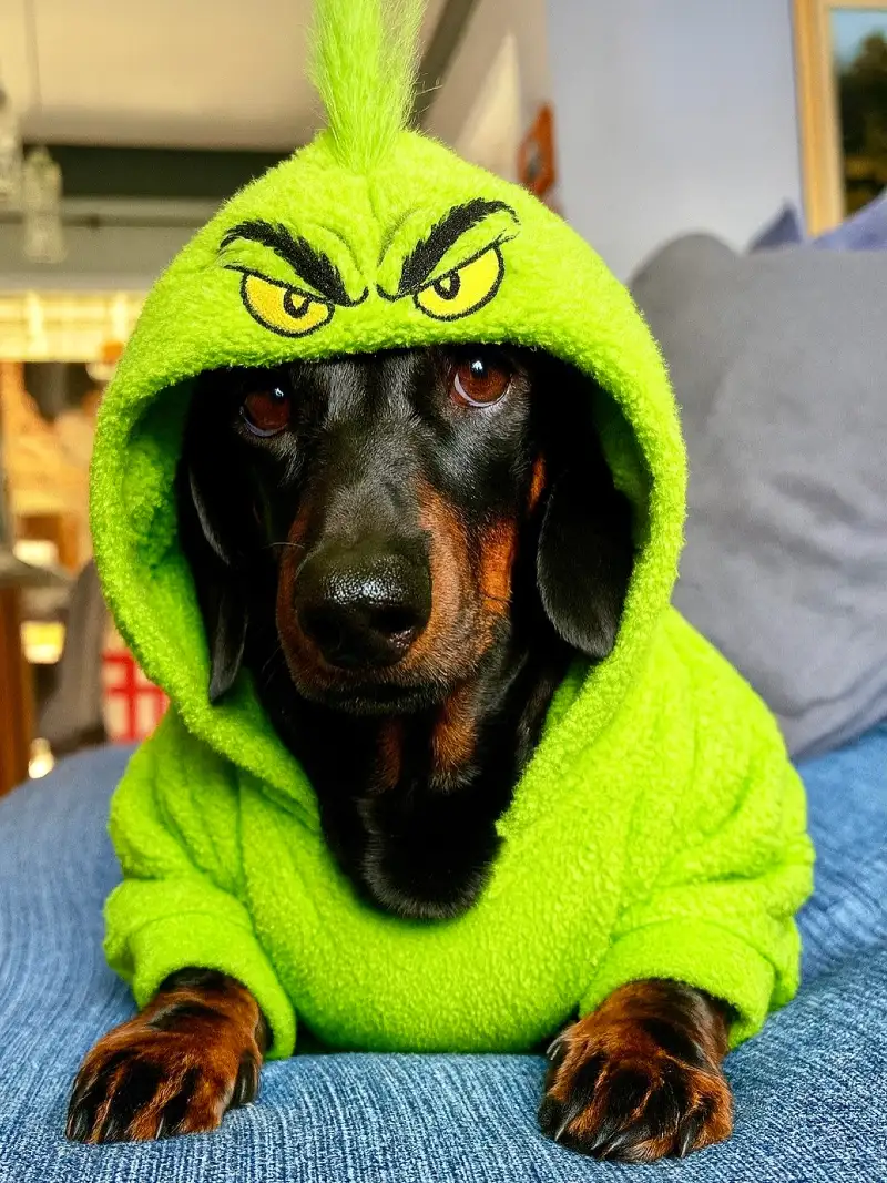 Neon Green Grinch Fleece Hoodie