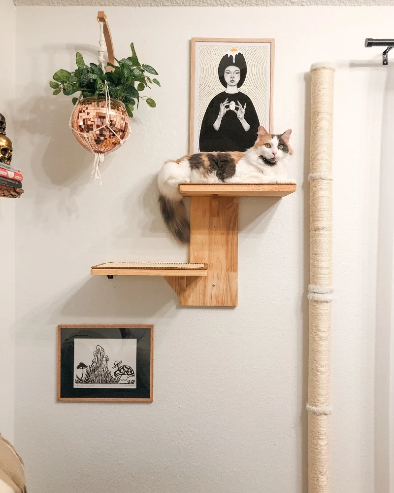 Oak Two-Tier Cat Step Integrated Into a Gallery Wall with Graphic Fine Art and a Disco Ball Planter