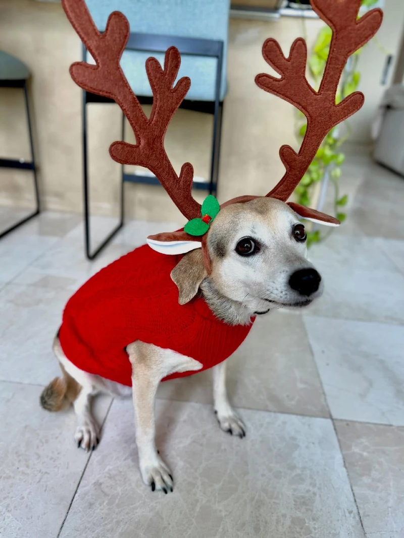 Oversized Felt Antlers and Cable Knit Holiday Sweater