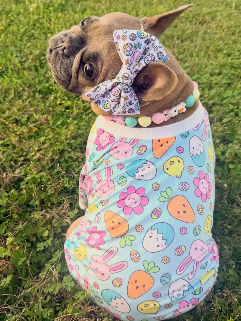 Pastel Cartoon Print Tee and Matching Bow on a French Bulldog