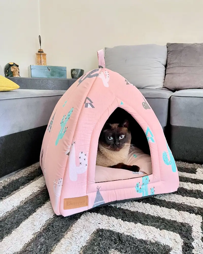 Pink Cactus-Print Fabric Pyramid Tent with Plush Cushion Layer