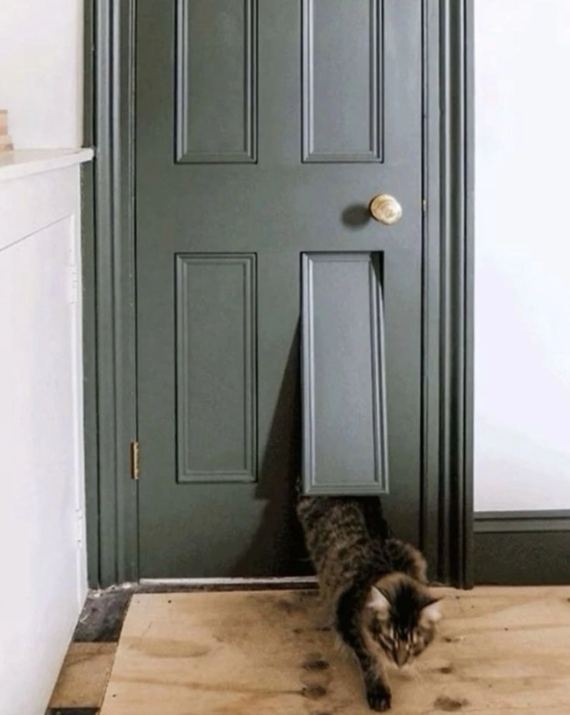 Pivoting Raised Panel Integrated into a Forest Green Six-Panel Interior Door
