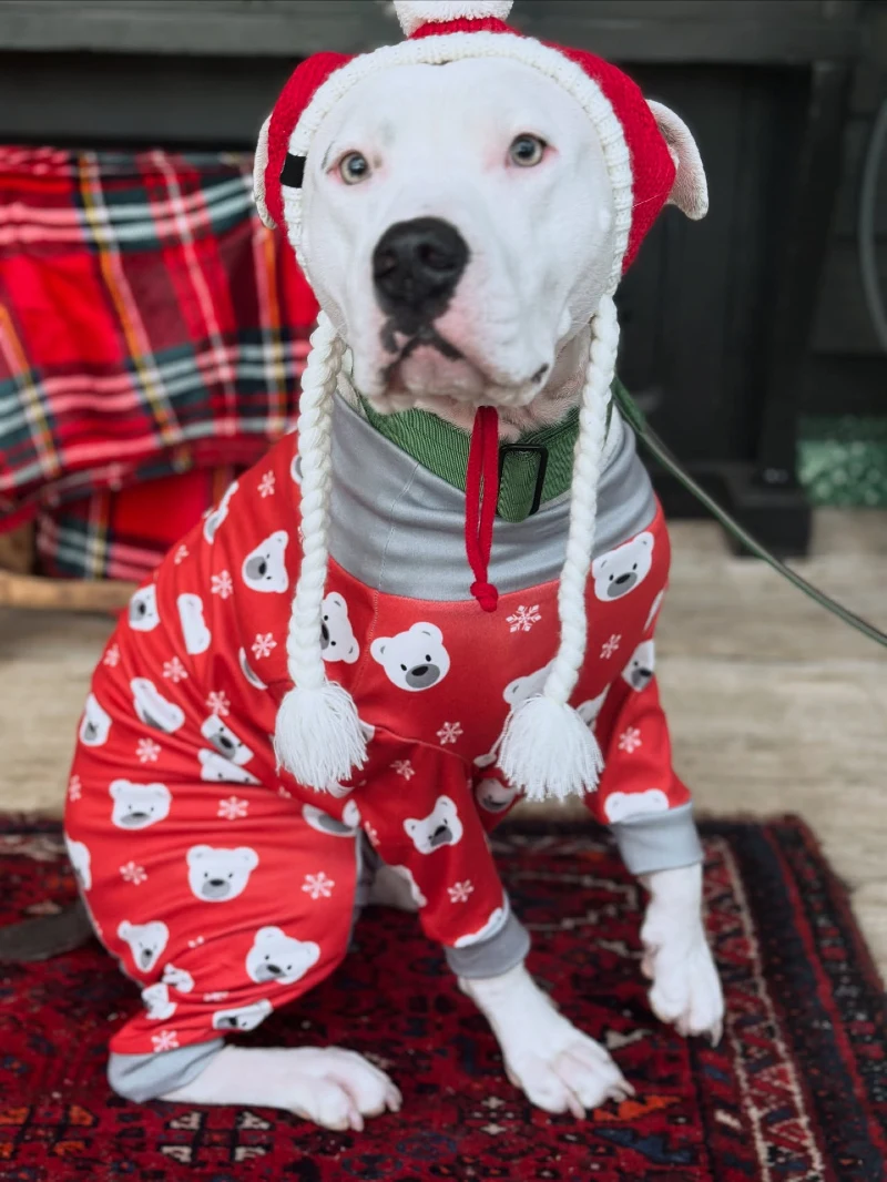 Polar Bear Print Pajamas and Braided Winter Hat
