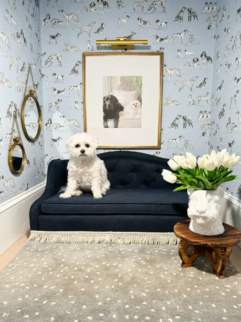 Powder Blue Dog-Illustration Wallpaper with Navy Fringed Sofa
