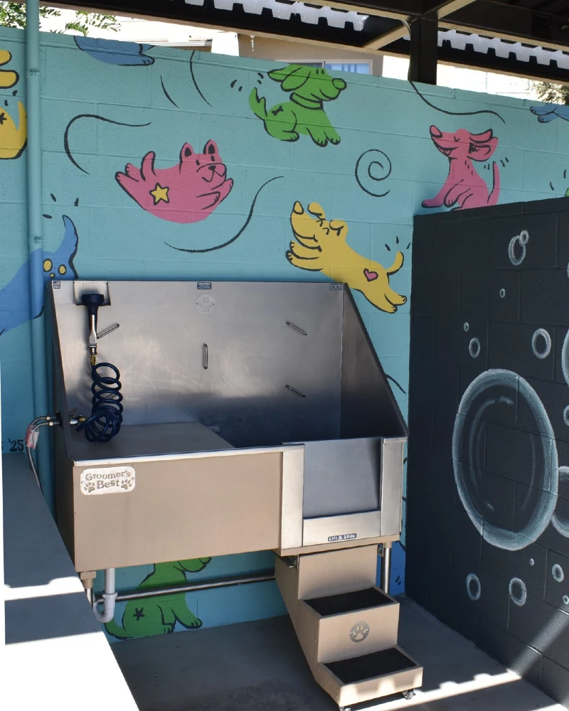 Professional Freestanding Grooming Tub with Mural Wall