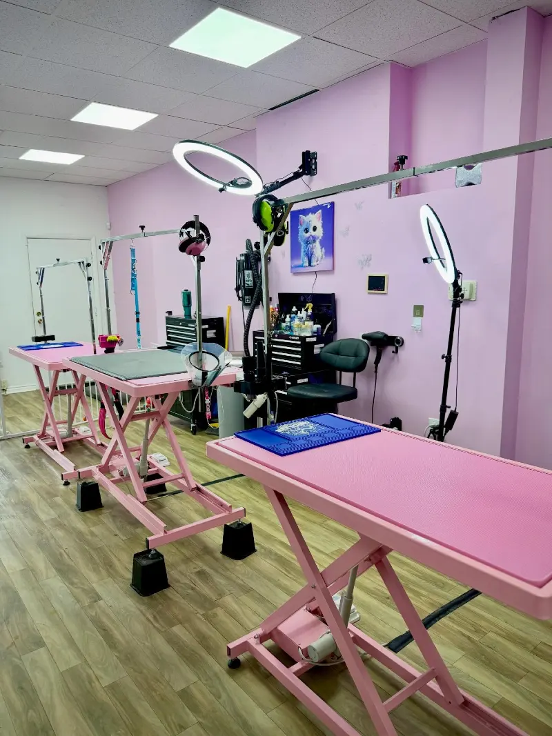 Professional Pink Hydraulic Grooming Tables with Integrated Ring Lights