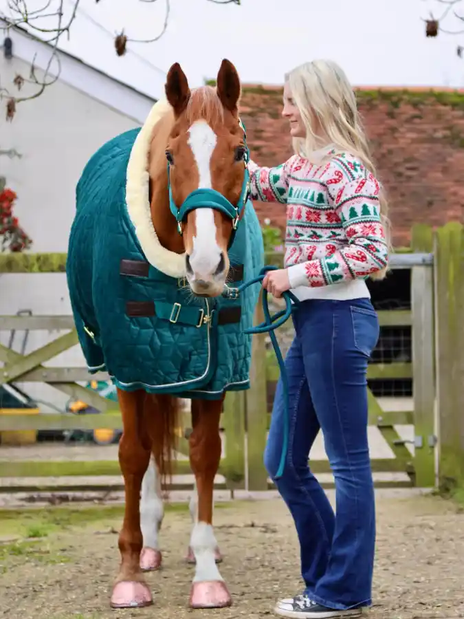 Quilted Emerald Green Blanket with Fleece Collar on a Chestnut Horse