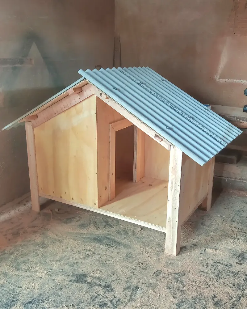 Raw Plywood Cabin with Asymmetrical Roofline and Light Gray Corrugated Cover