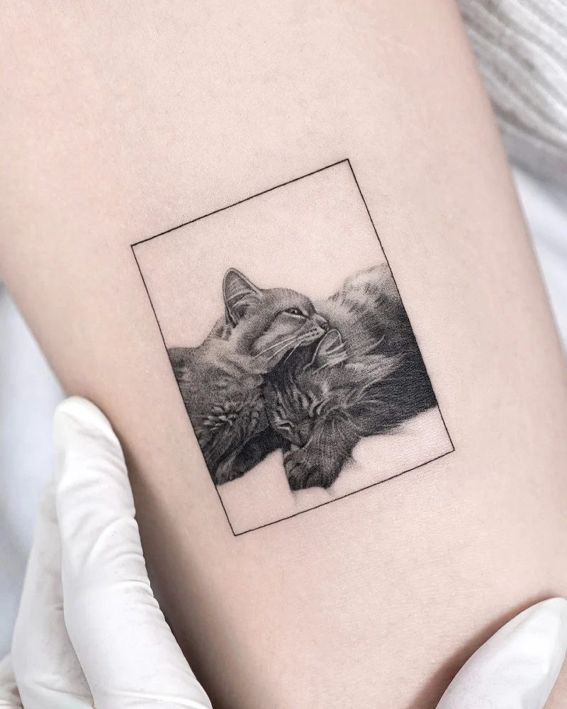 Realistic Cuddling Cats Portrait in a Geometric Square Frame Tattoo