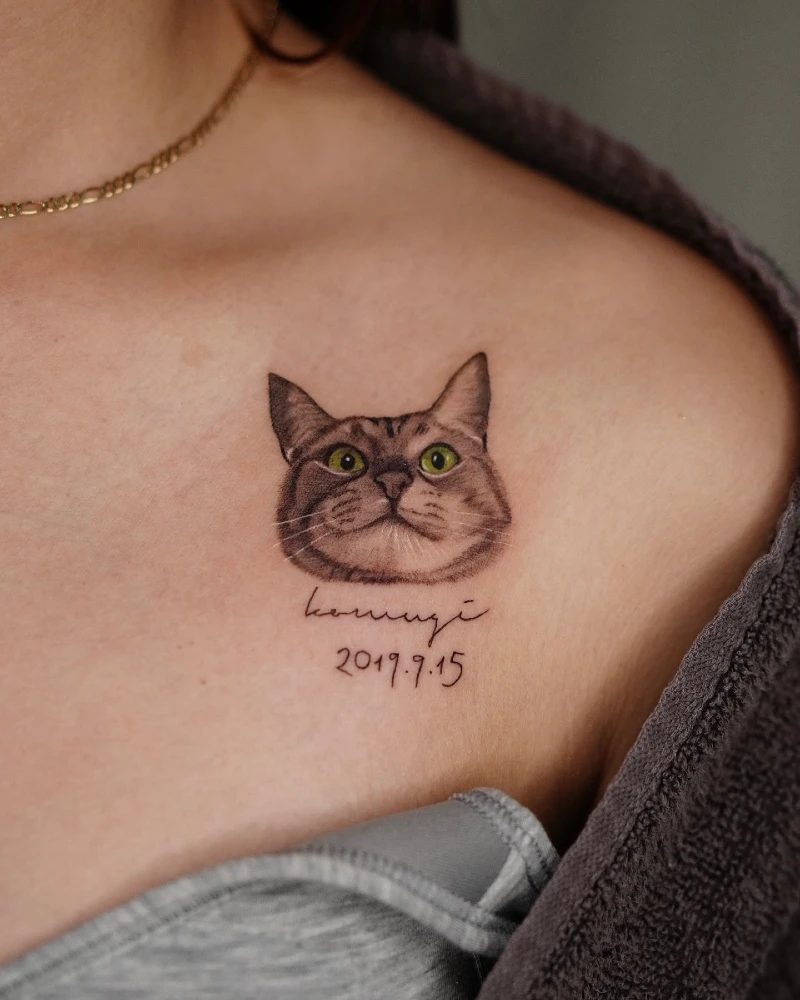 Realistic Tabby Cat Portrait with Script Name and Date on the Collarbone