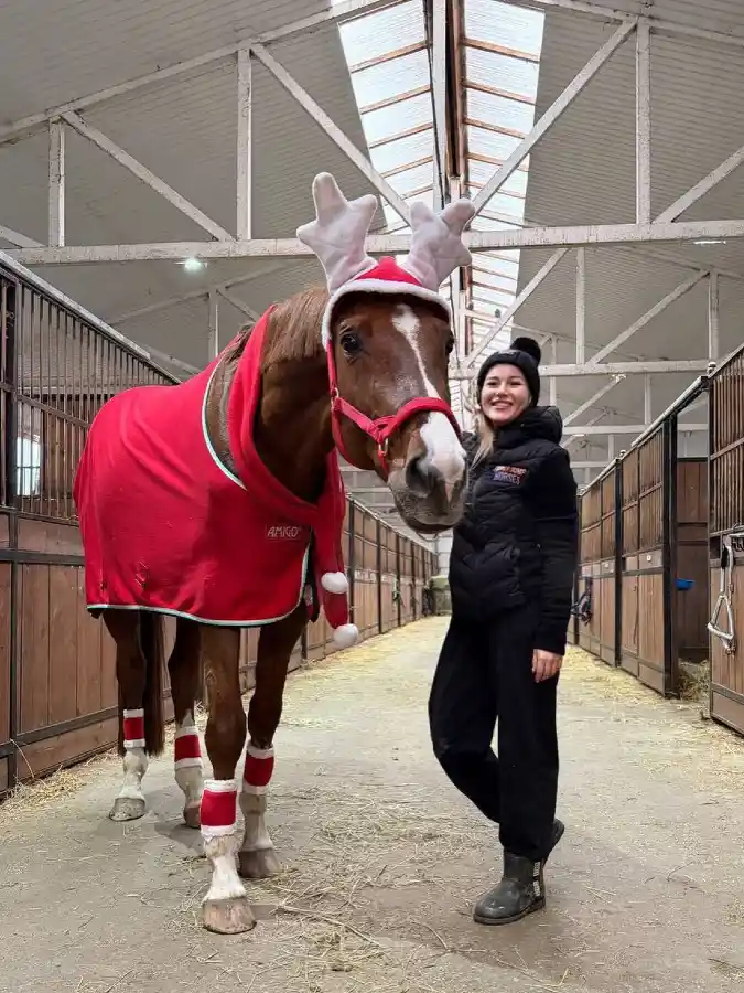 Red Fleece Cooler and Reindeer Antlers on a Chestnut Horse