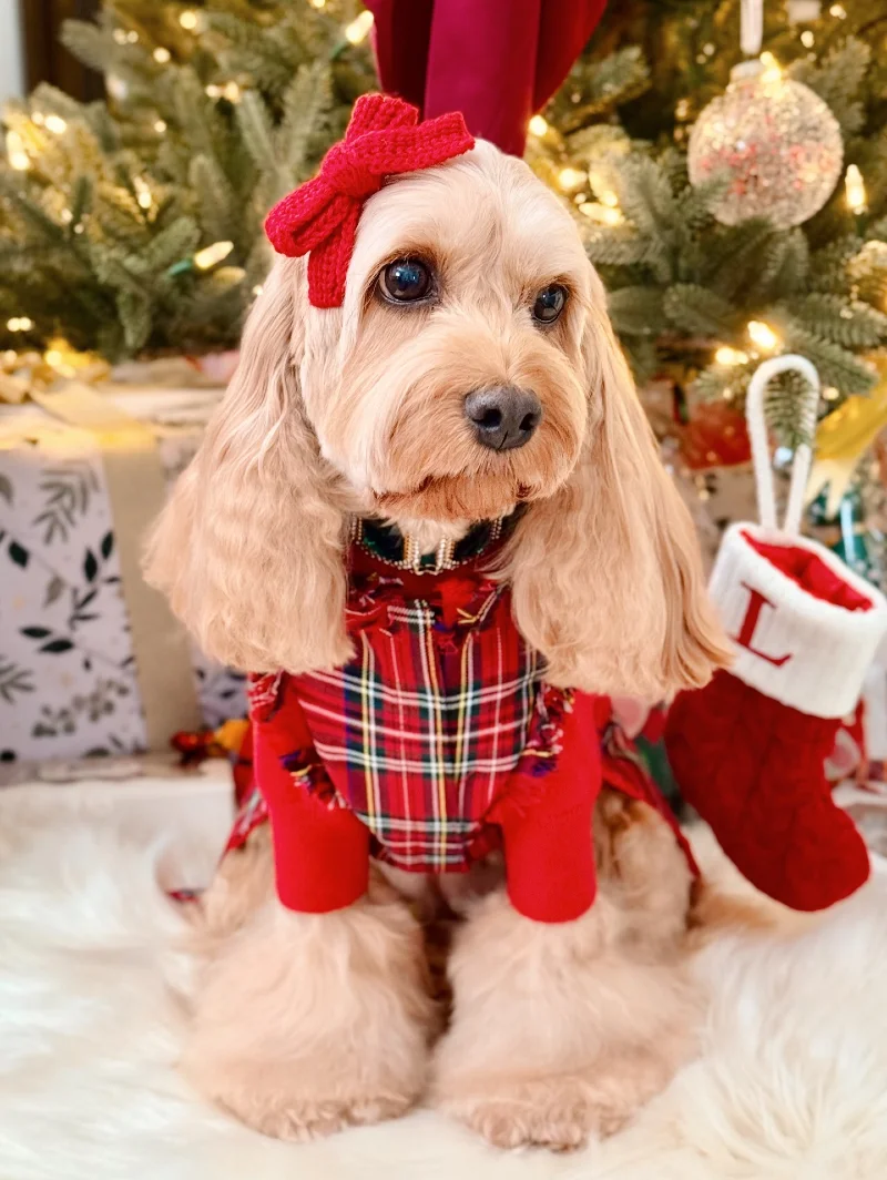 Red Plaid Dress and Knitted Hair Bow