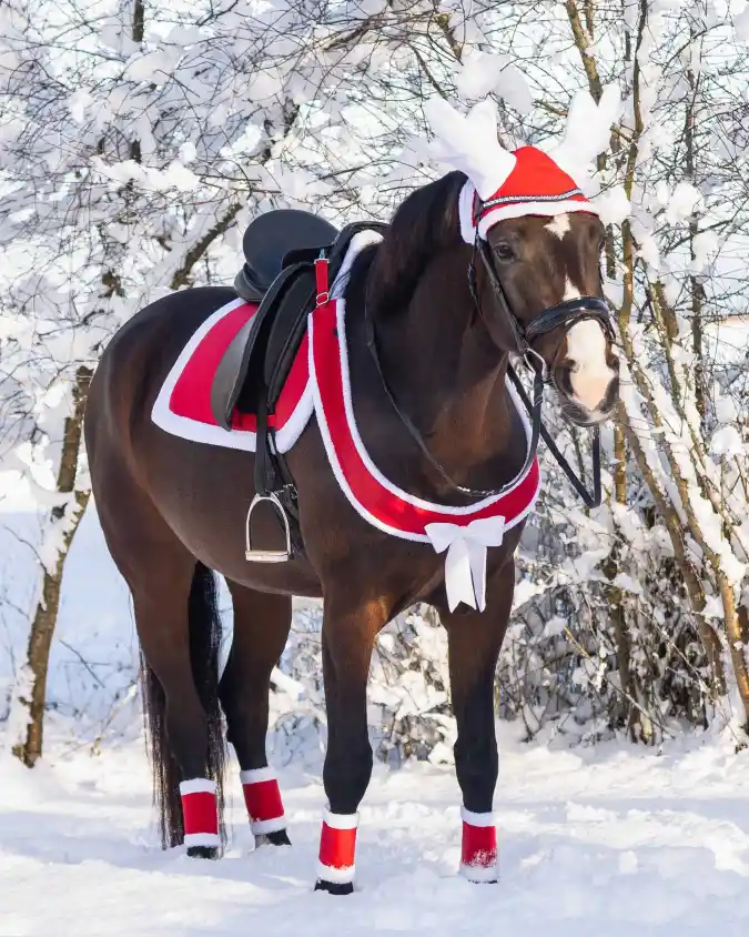 Red Saddle Pad, Breastplate, and Reindeer Ear Bonnet on a Dark Bay Horse