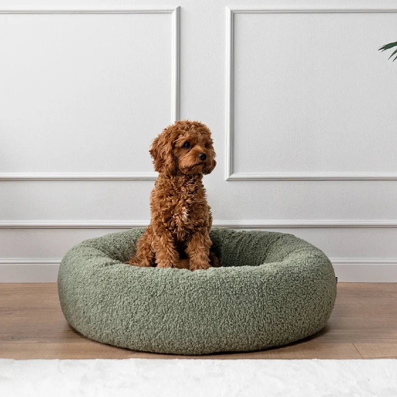 Sage Green Teddy Donut Nest Against Picture Molding