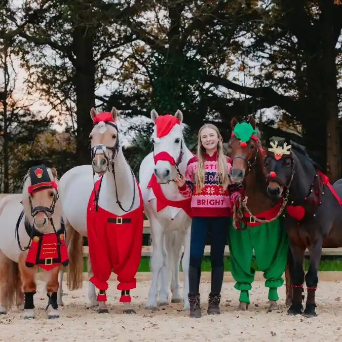 Santa Pants, Toy Soldier Vest, and Elf Garb on a Mixed Herd