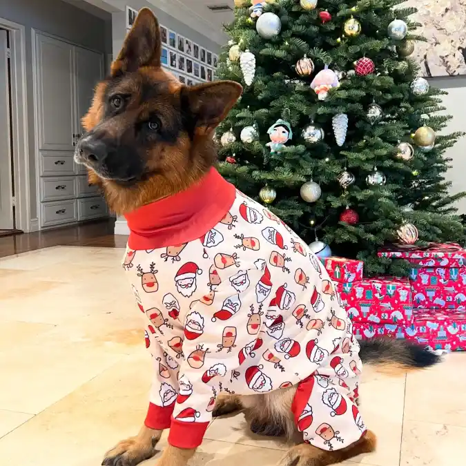 Santa and Reindeer Patterned Turtleneck Pajamas on a German Shepherd