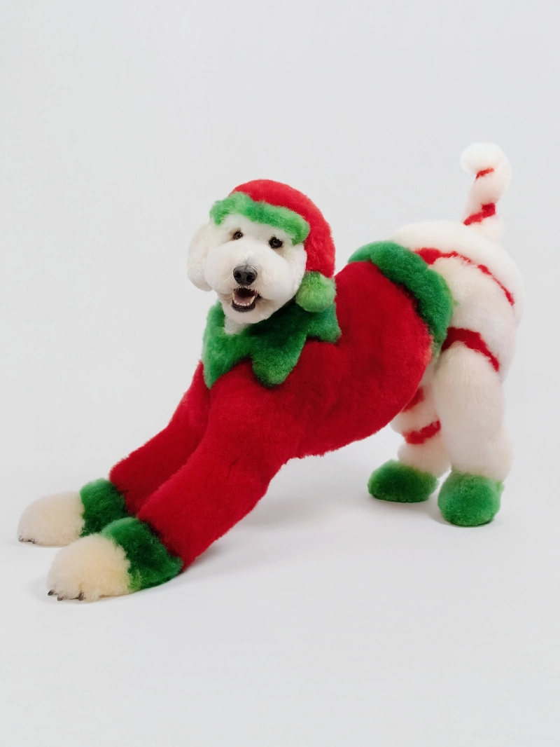Scarlet and Mint Holiday Creative Fur Grooming