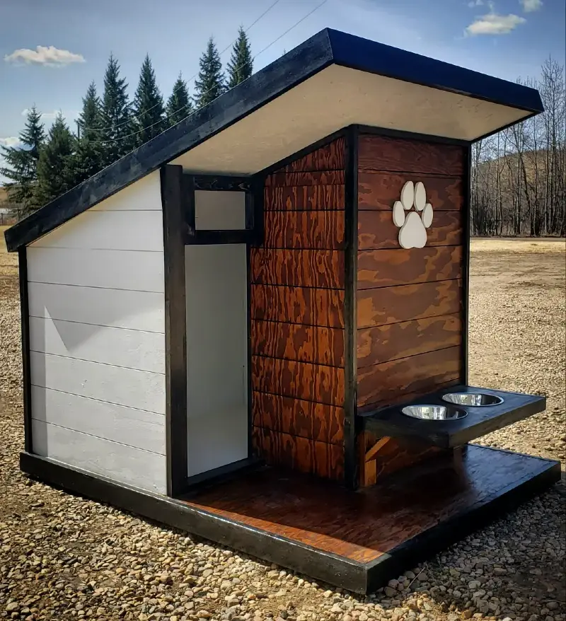 Slanted Shed Roof Cabin with Attached Feeding Station