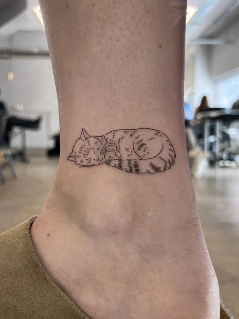 Sleeping Tabby Cat Fine Line Tattoo on the Lower Ankle