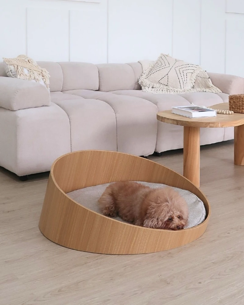 Sloping Bentwood Shell with Neutral Grain Cushion