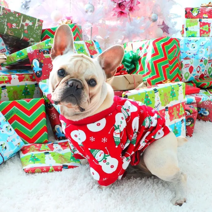 Snowman Print Fleece Bodysuit on a Fawn French Bulldog