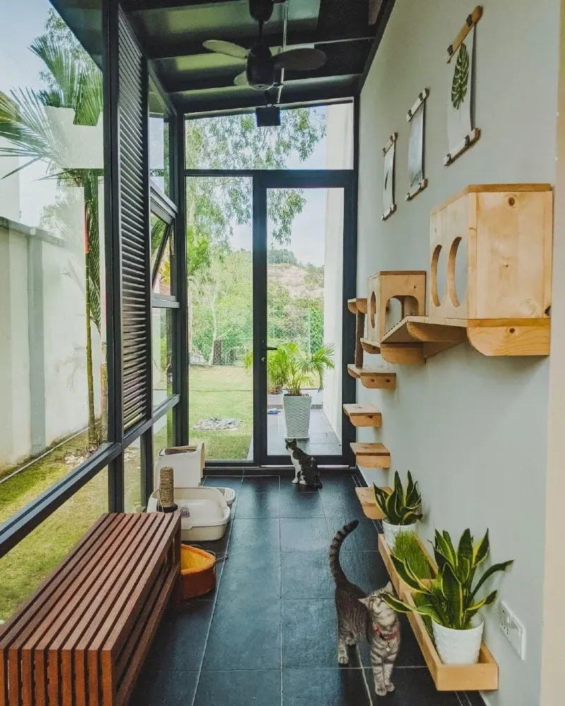 Sunroom Catio with Wall-Mounted Wooden Runways