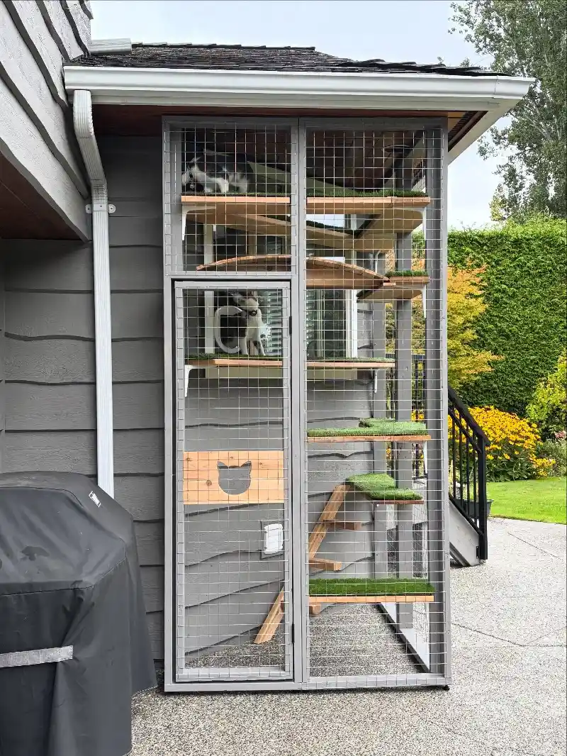 Tall Slate-Gray Corner Catio with Faux-Turf Shelves under Deep Eaves