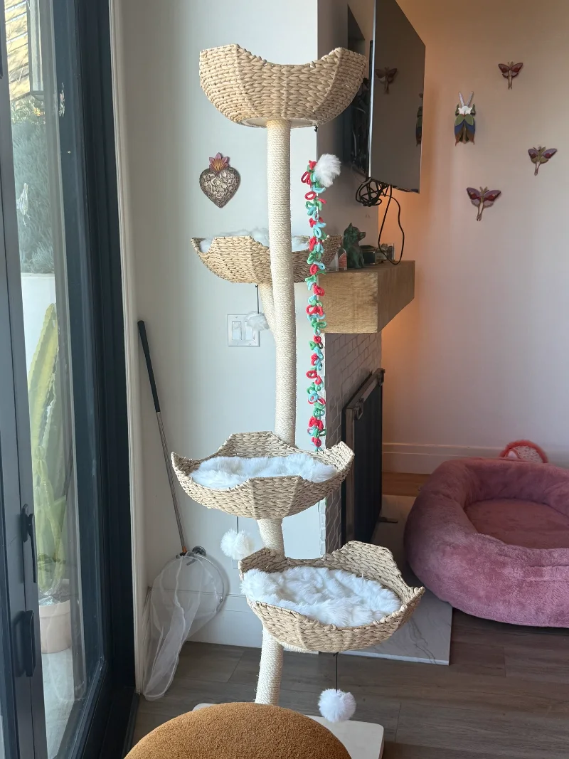 Tall Woven Hyacinth Tower beside Glass Sliding Doors
