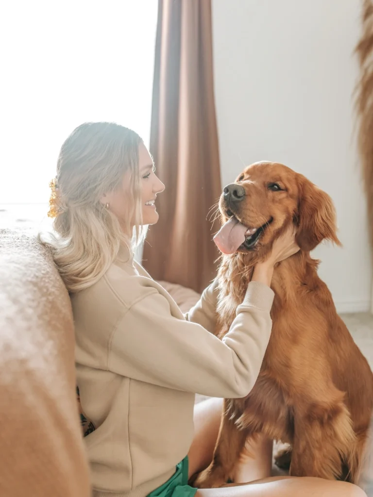Tan Pullover and Emerald Shorts Beside a Fluffy Golden Retriever
