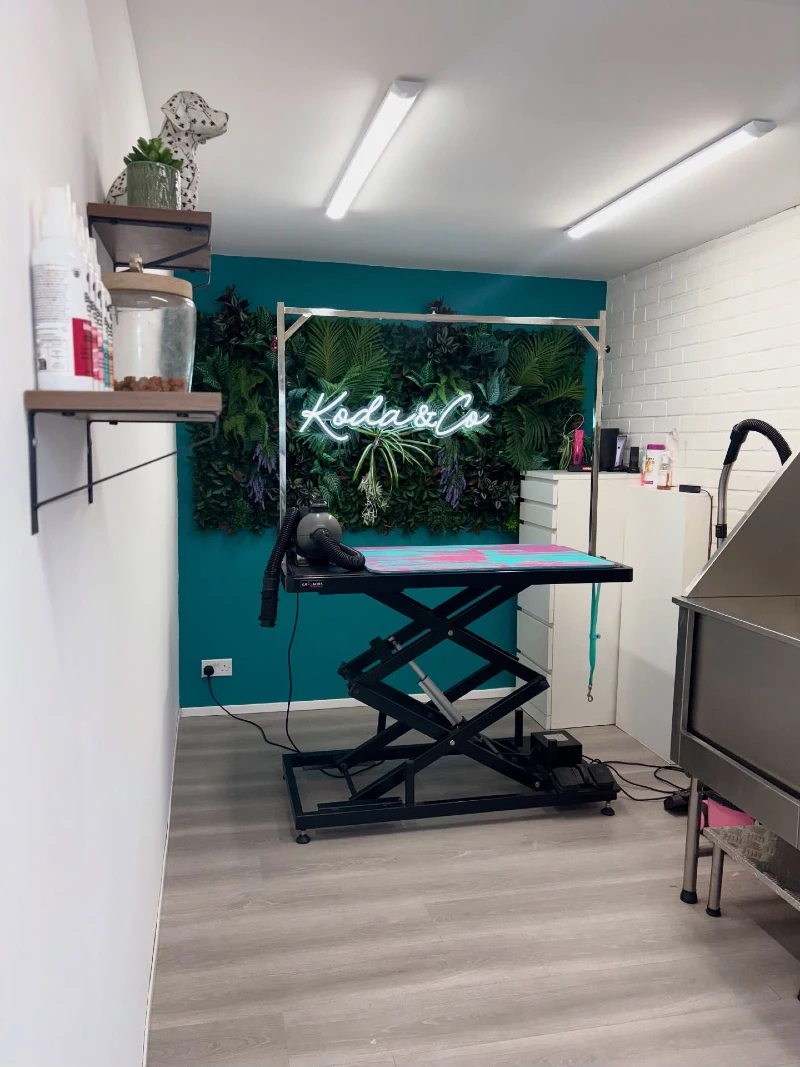 Teal Accent Wall with Faux Plant Backdrop and Custom Cursive Neon Sign Behind Black Lift Table