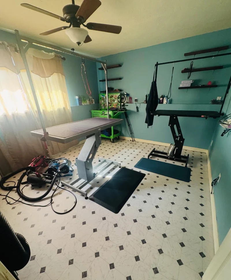 Teal Grooming Studio with Diamond Pattern Flooring and Hydraulic Lift Tables