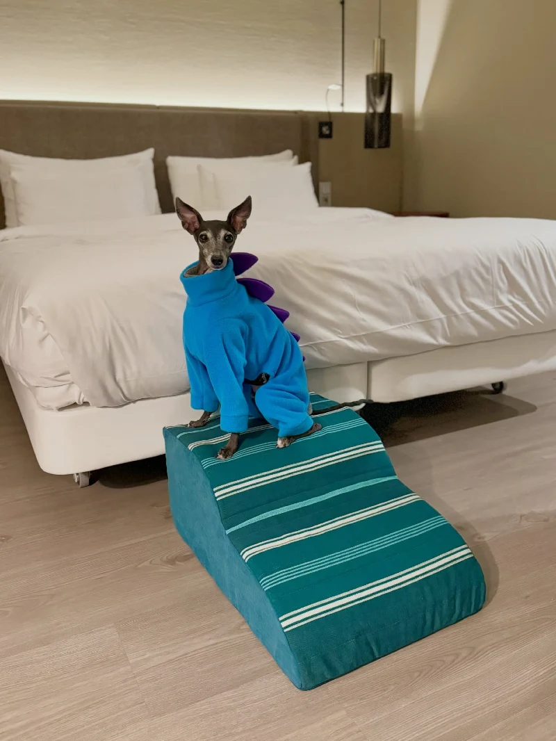 Teal Striped Scalloped Foam Ramp
