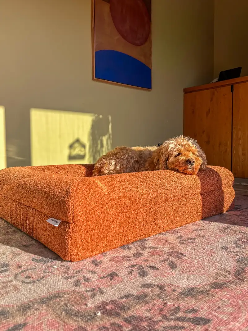 Terracotta BouclΓ© Cushion on Vintage Patterned Rug