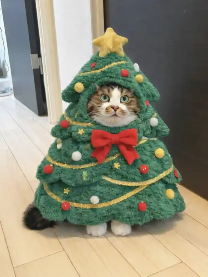 Tiered Plush Christmas Tree Suit with a Felt Red Bow on a Fluffy Cat