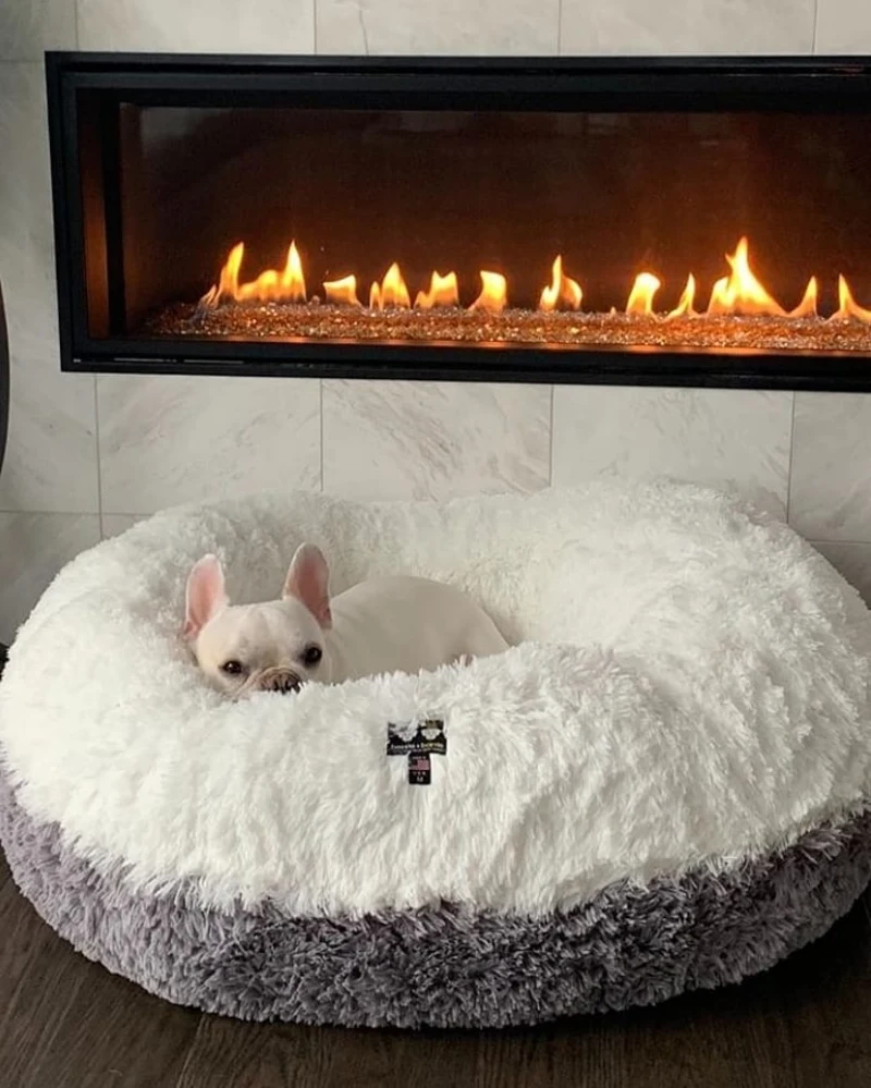 Two-Tone Shaggy Calming Bed Before a Modern Fireplace
