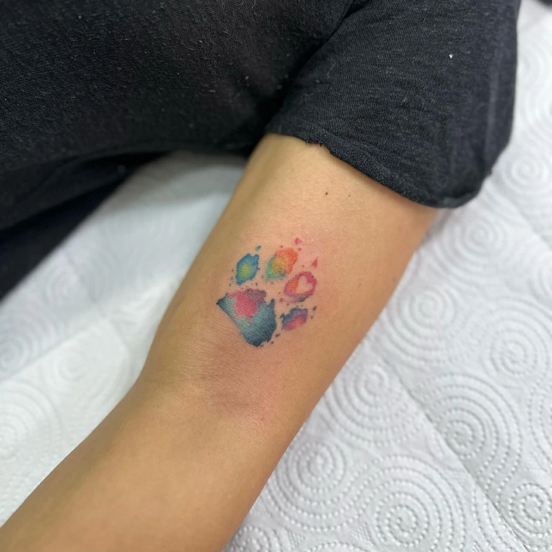 Vibrant Rainbow Watercolor Paw Print Tattoo on Inner Arm
