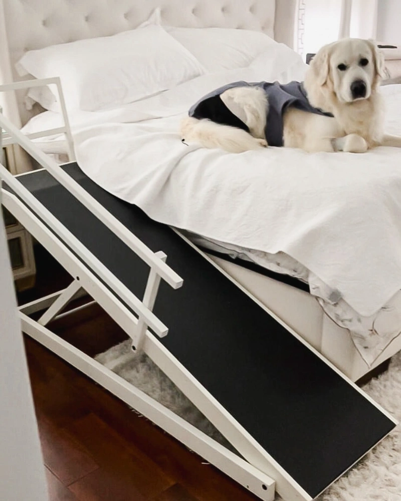 White High-Bed Adjustable Ramp with Matte Black Runner