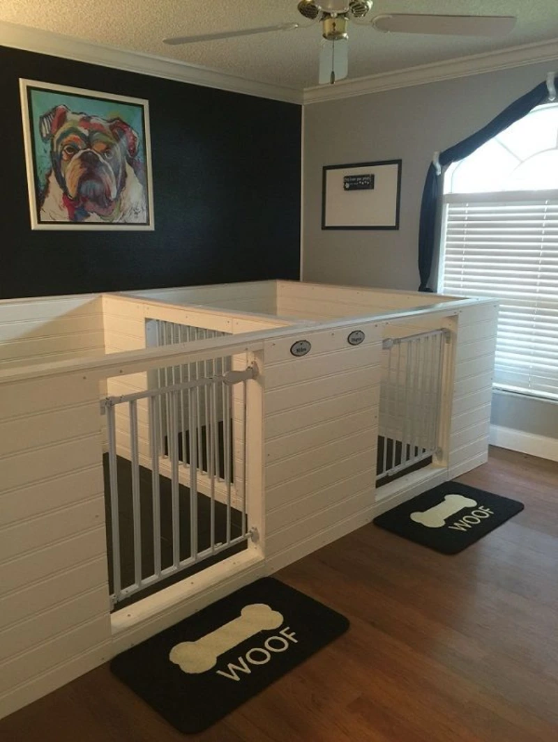 White Shiplap Dog Suites with Metal Gates and Black Accent Wall