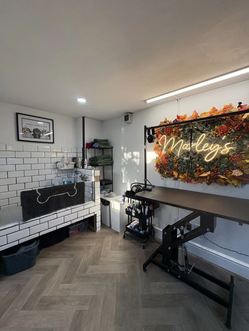White Subway Tile Wash Station with Autumn Foliage Neon Backdrop and Herringbone Flooring