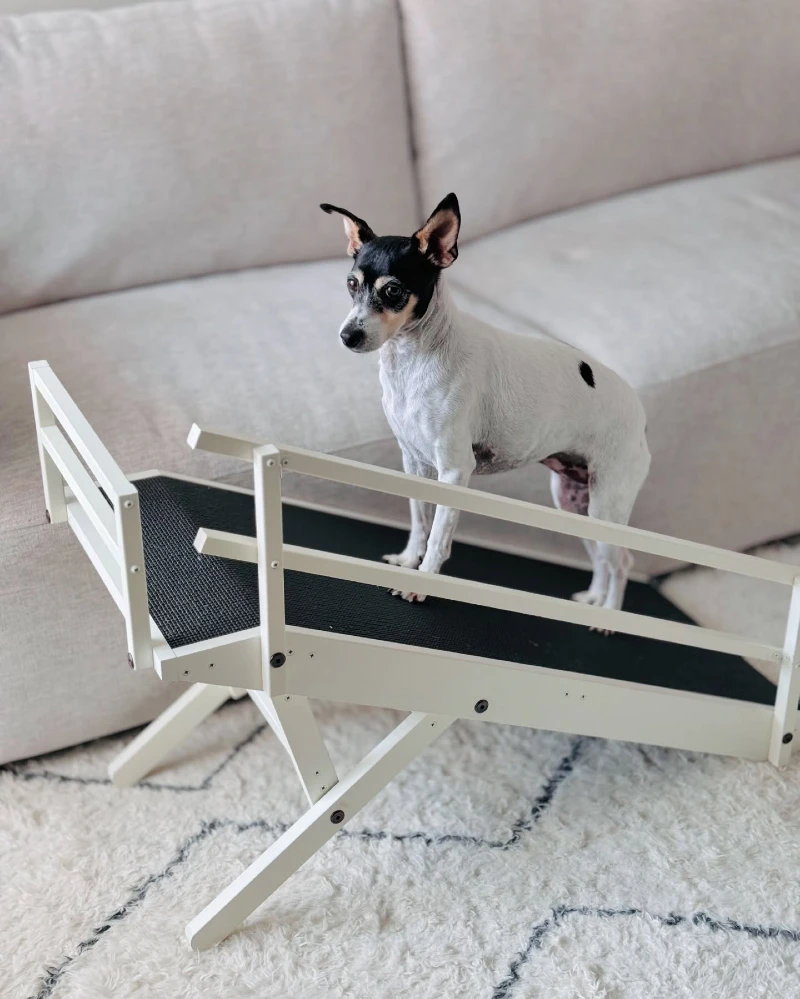 White Wooden Adjustable Ramp with Safety Rails