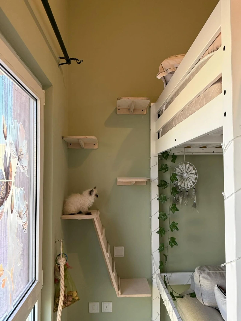 Whitewashed Wooden Cat Steps and Incline Ramp Nestled Next to a White Loft Bed